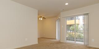 Geno Baroni Gallery 15