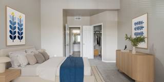 PeakView at T-Bone Ranch Apartments Gallery 5