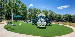 Hudson at Georgia's Landing Gallery 27