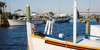 Vue at Belleair Gallery 25