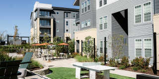 Livano Nations Gallery 44