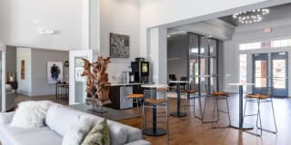 Lowry Park Gallery 20