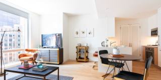 19 Dutch 19 Dutch Gallery 40