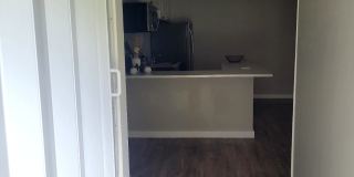 1302 Ariana Woods Circle Gallery 2