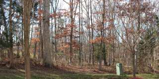 9023 BREWER CREEK Place Gallery 42