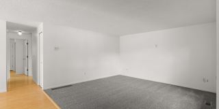 Updated 3Bed/2Bath single story ranch Gallery 10
