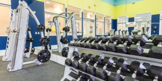 Preserve at Tampa Palms Gallery 20