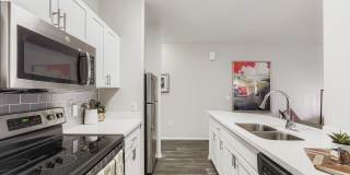 Mandarina Apartment Homes Gallery 56