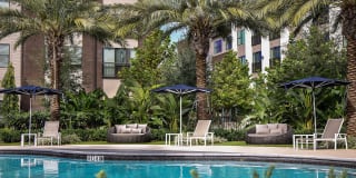 Arcadia Dr. Phillips Arcadia Dr. Phillips Gallery 21