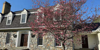 12929 ESWORTHY Road Gallery 7