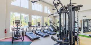 The Oasis Apartments Gallery 12