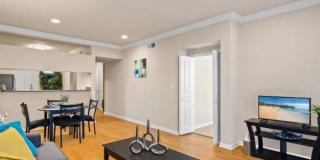 7765 Louis Pasteur Dr Gallery 1
