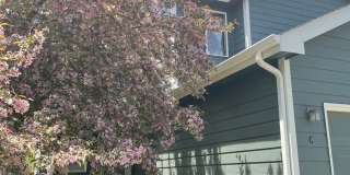 Beautiful 3 Bed, 3 1/2 Bath Townhome in Northwest Fort Collins! Gallery 1
