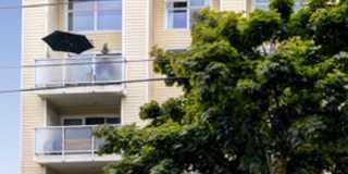Great Apartment in the Heart of Ballard. Gallery 1