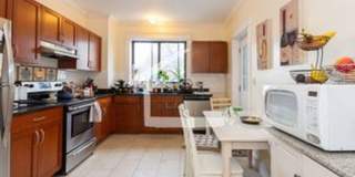 Large Unit near T and Brookline Border.  GREAT for BU students! Cat OK Gallery 3