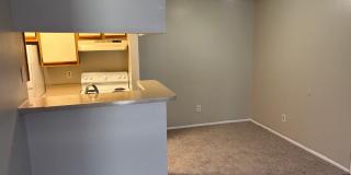 1 bed 1 bath First Floor!! Gallery 1