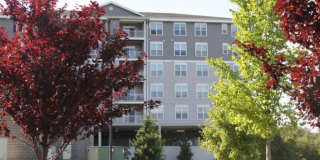 Abbey Lane Gallery 2