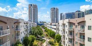 Pierhouse at Channelside Gallery 2