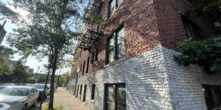 1 NOLL PL Gallery 2