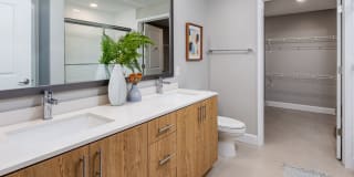 Avalon Doral Gallery 12