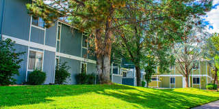 Village of the Pines Village of the Pines Gallery 6