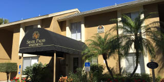 Silver Palms Gallery 21