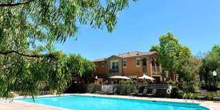 Enchanting 4 bedroom/2.5 bath property in the heart of Claremont Village Gallery 23