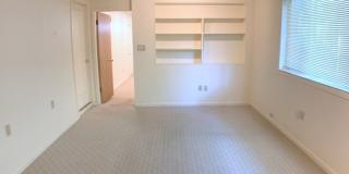 Great 4BR/2BA South Tampa home with Large fenced yard. Gallery 11