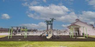 25 Sago Palm Way Gallery 51