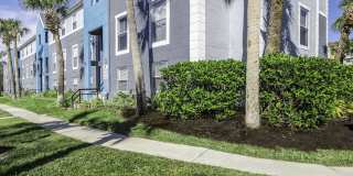 Ascent of Palm Bay Gallery 4