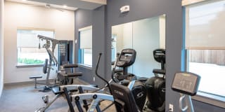 Magnolia at West Lemmon Gallery 7