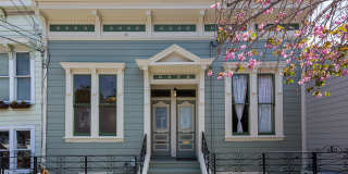 Noe Valley: House-like Apartment w/ 2 Bonus Rooms, Open Floor Plan & W/D in-unit Noe Valley: House-like Apartment w/ 2 Bonus Rooms, Open Floor Plan & W/D in-unit Gallery 1