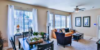 Boulders at Lone Mountain Gallery 19