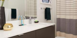 Anthology Apartments Gallery 16