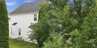 341 BULLSKIN Street Gallery 41
