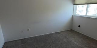 1113 Scarlet Oak Avenue Gallery 12