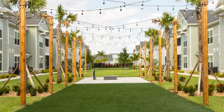 Palm Grove Gallery 40