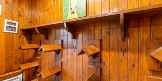 2583 Appaloosa Trail Gallery 14