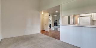 291 E Mel Avenue Gallery 5