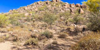 7295 E SUNSET SKY Circle Gallery 17