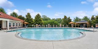 Renaissance at Peachers Mill Gallery 12