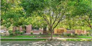 160 Poplar Street Gallery 23