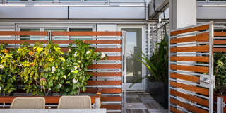 Berkeley Central Gallery 11