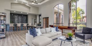 San Montego Gallery 7