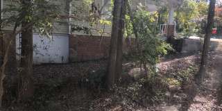 817 Arnette Ave Gallery 41