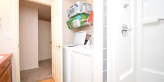 Bright Holladay 4 Bed Home – High Ceilings in Prime Location!! Gallery 29