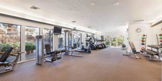 The Aspen South Coast Gallery 24