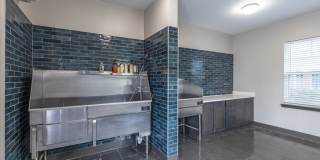 The Ivy Apartment Homes Gallery 15
