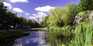 Avalon Morningside Park Gallery 39