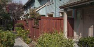 Pacific Vista Gallery 19